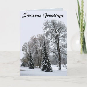 Winter Forest Cards Seasons Greetings Cards