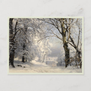 Winter Forest  Postcard