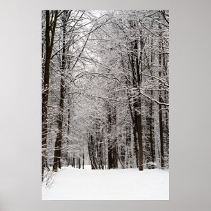 Winter forest poster