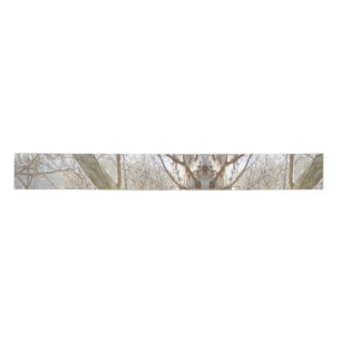 winter forest   satin ribbon