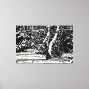 Winter Forest, Snow, Birch And Spruce Trees Canvas Print