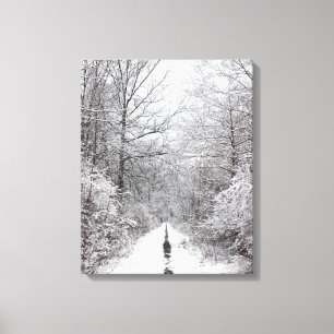 Winter Forest Snowy Trail Canvas Print