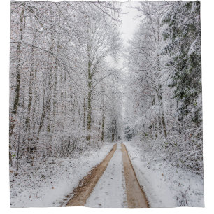 Winter forest trees #22