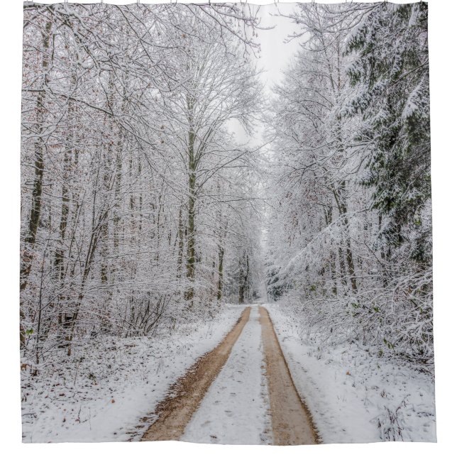 Winter forest trees #22 (Front)