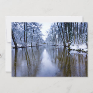 Winter Forest with Beautiful Stream