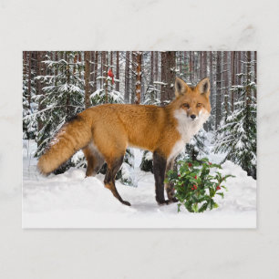"Winter Fox" Holiday Postcard