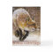 Winter Fox Seasonal Christmas Card