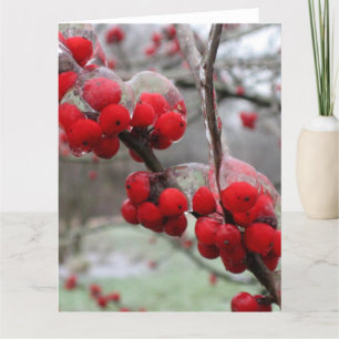 Winter Freeze and Ice on Red Berries Card