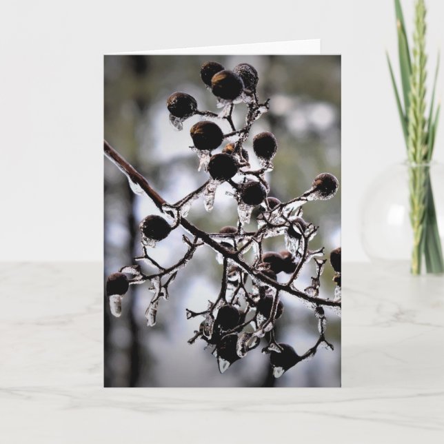 Winter Freeze, card (Front)