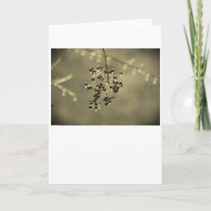 Winter Freeze, card