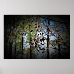 Winter Freeze,  Poster