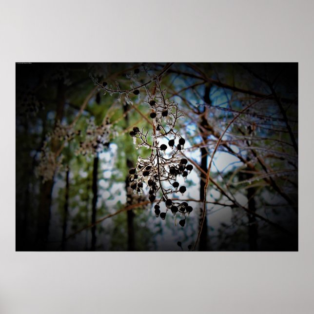 Winter Freeze,  Poster (Front)