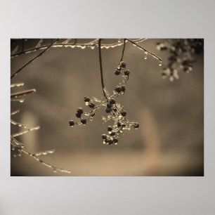 Winter Freeze, Poster