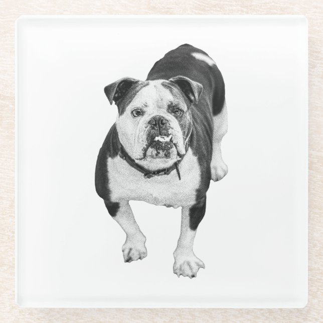 Winter Friend, Bulldog Coaster (Front)