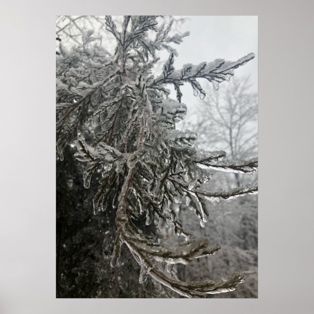 Winter Frost Poster (Front)