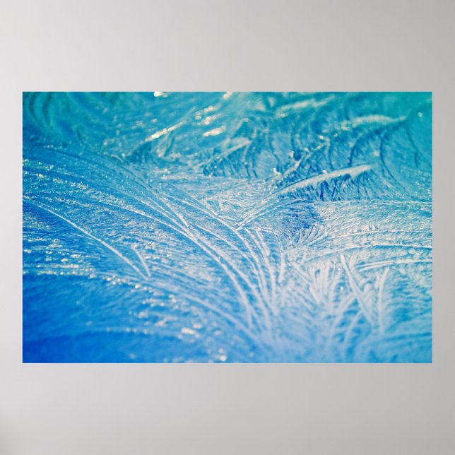 Winter Frost Poster (Front)