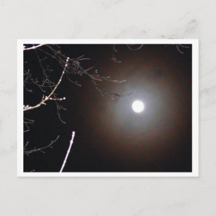 Winter Full Moon Postcard