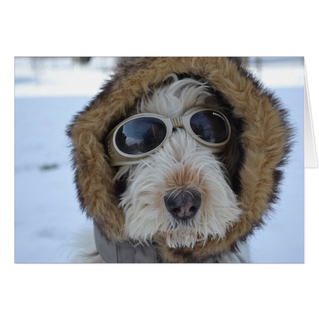 Winter Glamour (Front Horizontal)