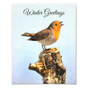 Winter Greetings. Robin singing  Photo Print