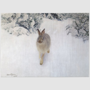 Winter Hare (Rabbit), Bruno Liljefors Tissue Paper