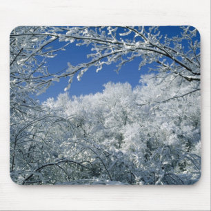 Winter haven mouse pad