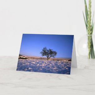 Winter Hawthorn Tree Holiday Card