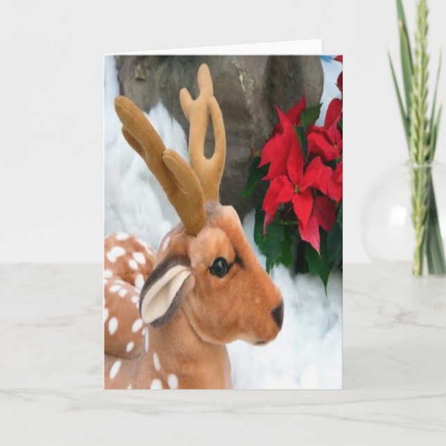 Winter Holiday Card:  "Snow, Deer" (Front)