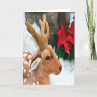 Winter Holiday Card: "Snow, Deer"