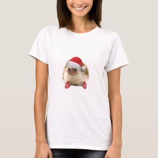 Winter Holiday Hedgehog Women's t-shirt