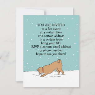 Winter Holiday Shiba Inu Party Announcements
