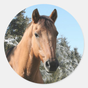 Winter horse classic round sticker