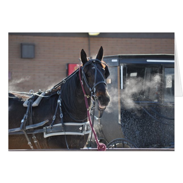 Winter  Horse Hitch (Front Horizontal)