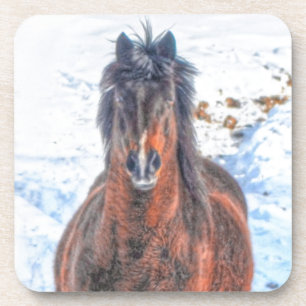 Winter Horse in Snowy Field Coaster