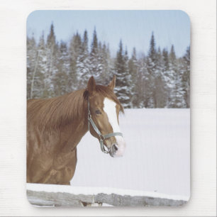 Winter Horse Mouse Pad
