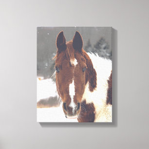 Winter Horse Wrapped Canvas