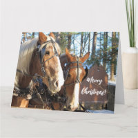 Winter Horses at Sturbridge Village Christmas Card