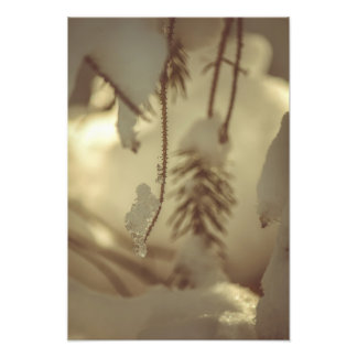 Winter Ice and Snow Woodland Scenery Fine Art Photo Print
