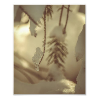 Winter Ice and Snow Woodland Scenery Fine Art Photo Print