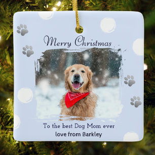 Winter Ice Blue Dog Mom Pet Photo Christmas Ceramic Ornament