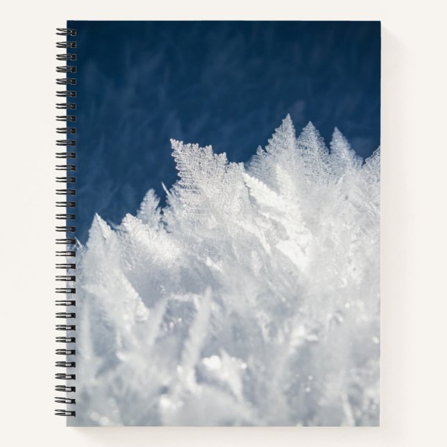 Winter Ice Crystals Notebook (Front)