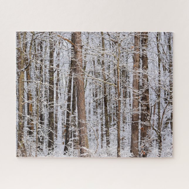Winter Ice Storm in the Forest - 16x20 inch Jigsaw Puzzle (Horizontal)