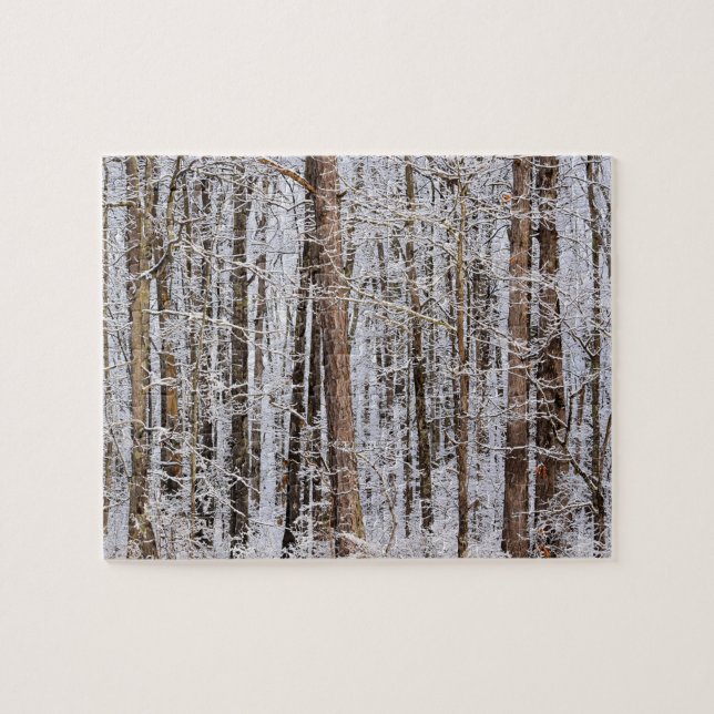 Winter Ice Storm in the Forest - 8x10 inch Jigsaw Puzzle (Horizontal)