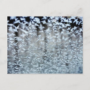 Winter Icicles Postcard