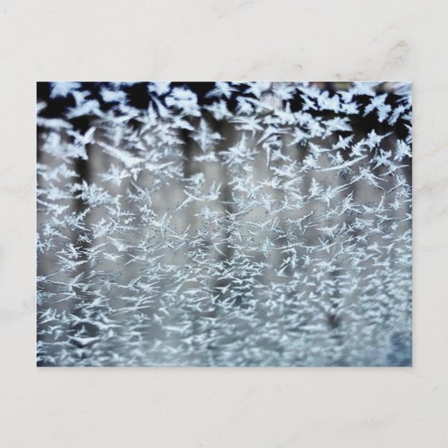 Winter Icicles Postcard (Front)