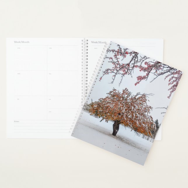 Winter in Autumn Planner (Display)