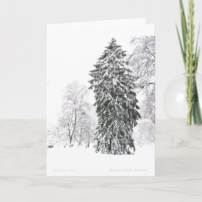 Winter in Boston Public Garden Holiday Card (Front)