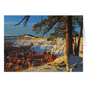 Winter In Bryce Canyon