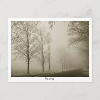 Winter in Buzau Postcard