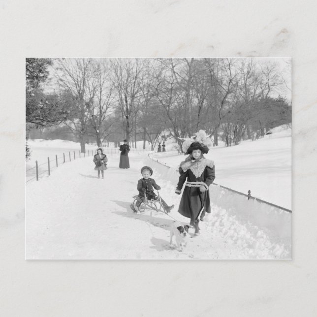 Winter in Central Park, 1900 Postcard (Front)