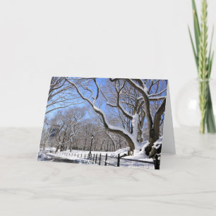 Winter in Central Park, New York City Holiday Card